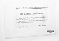 Image Associated With the Occurence